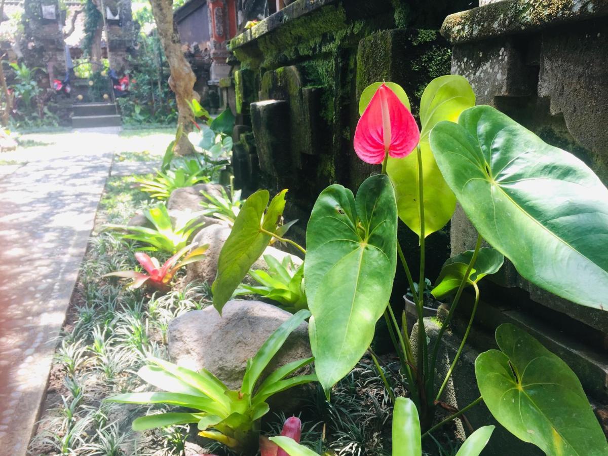 Tungeh Inn Ubud Exterior foto